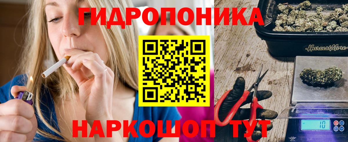 Михайловск  Конопля семена  Бошки Шишки ГИДРОПОН  МАРИХУАНА Ganja  Вход с VPN 